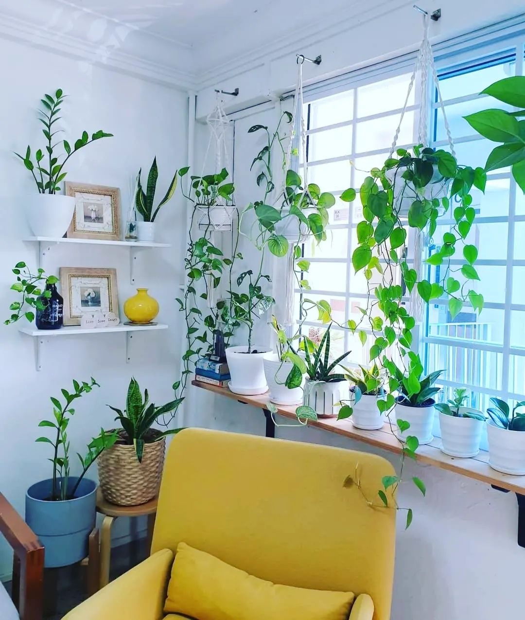 8 Cool Indoor Plant Ideas In Real HDB Homes
