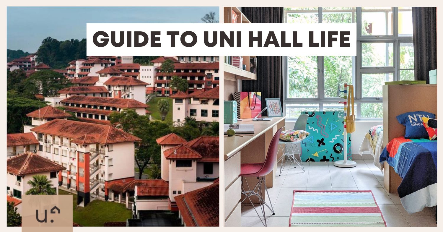 The Ultimate Hall Guide Things You Should Know The Ultimate Hall Guide Things You Should Know