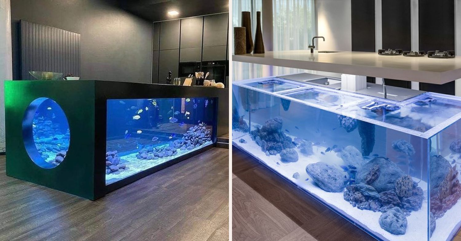 Built-In Fish Tank Ideas For Your Home in 2024