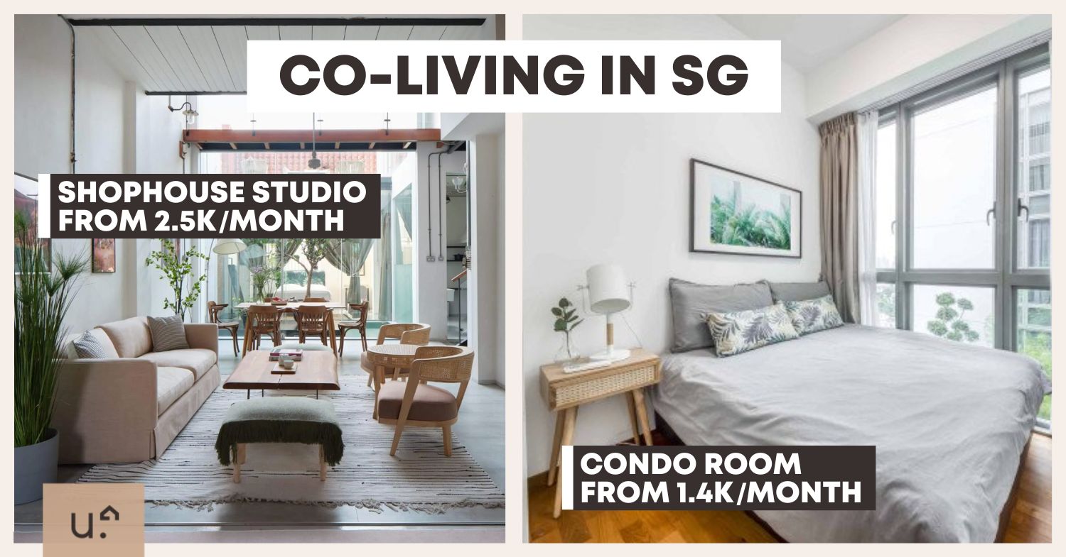 CoLiving Studios To Rent in Singapore From Just 1.4K Per Month